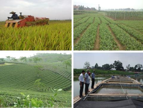 Phú Thọ lập trang web theo dõi nông thôn mới Phu Tho lap trang web theo doi nong thon moi